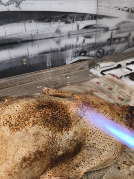 Мясо гусь молодой (4100), гусиный жир (1000)