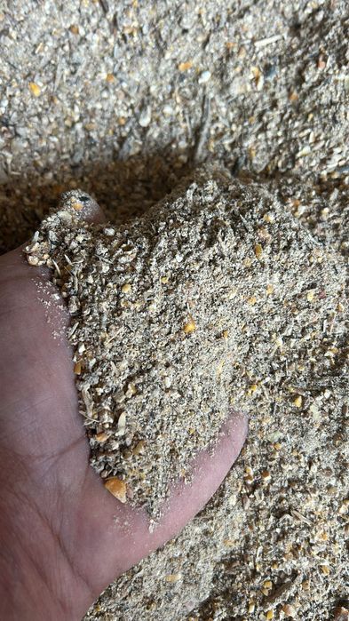 Furaj pentru animale