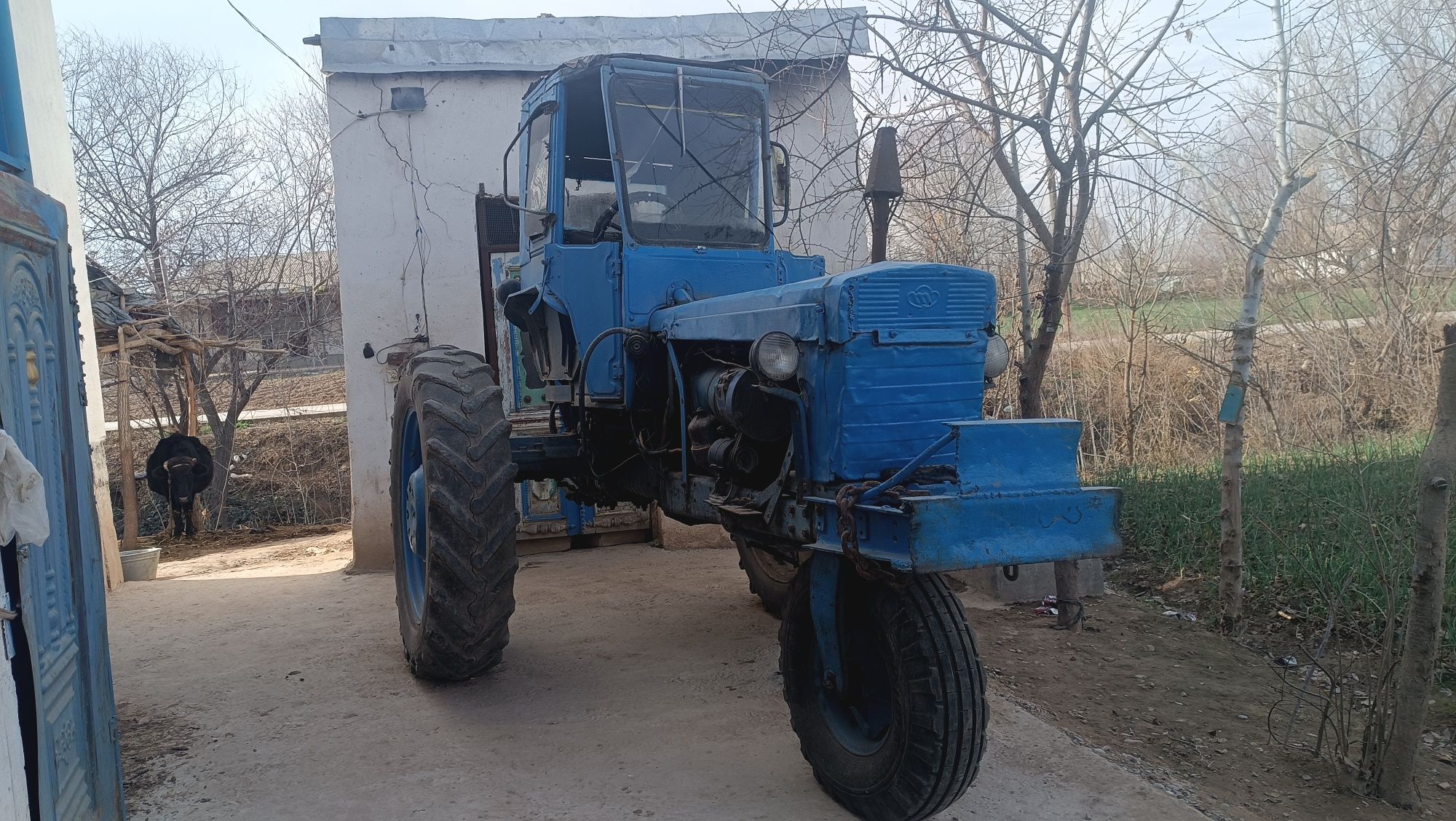 BELARUS 80 traktori va 28 traktor sotiladi