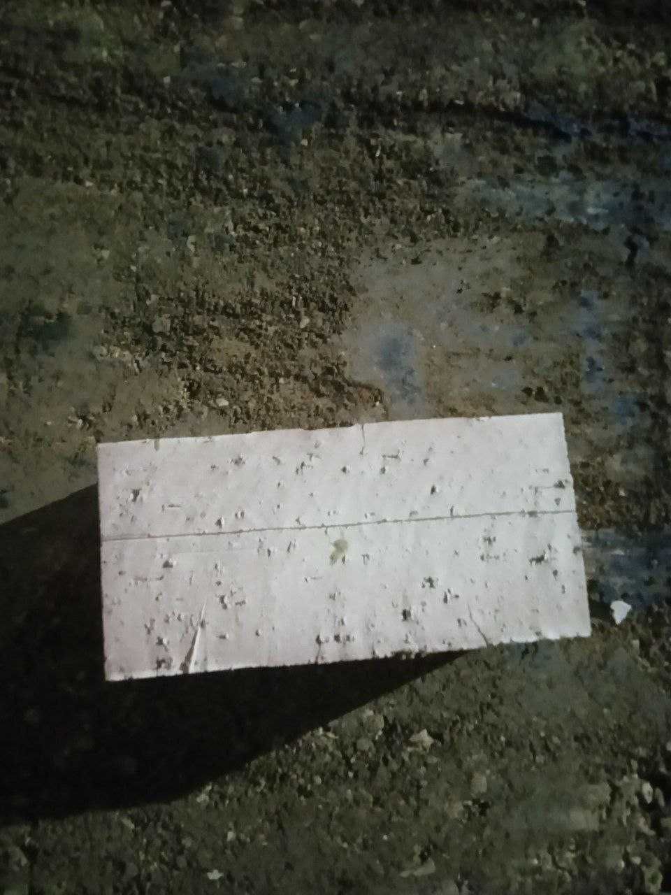 Pishgan va Xom g'isht