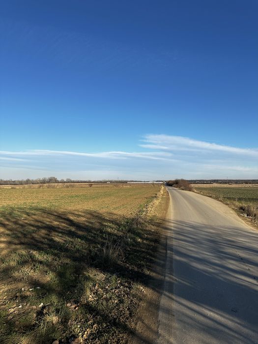 Oferta: 2 loturi intravilan 500 mp Ciolpani (la 20 min de Bucuresti)