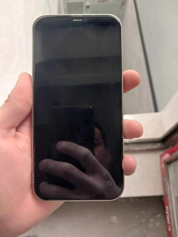 Iphone 12 pro max