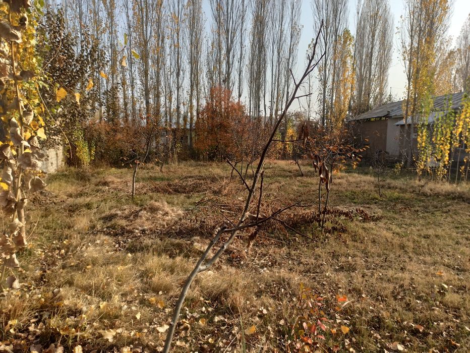 Yer Sotiladi 4  Sotax