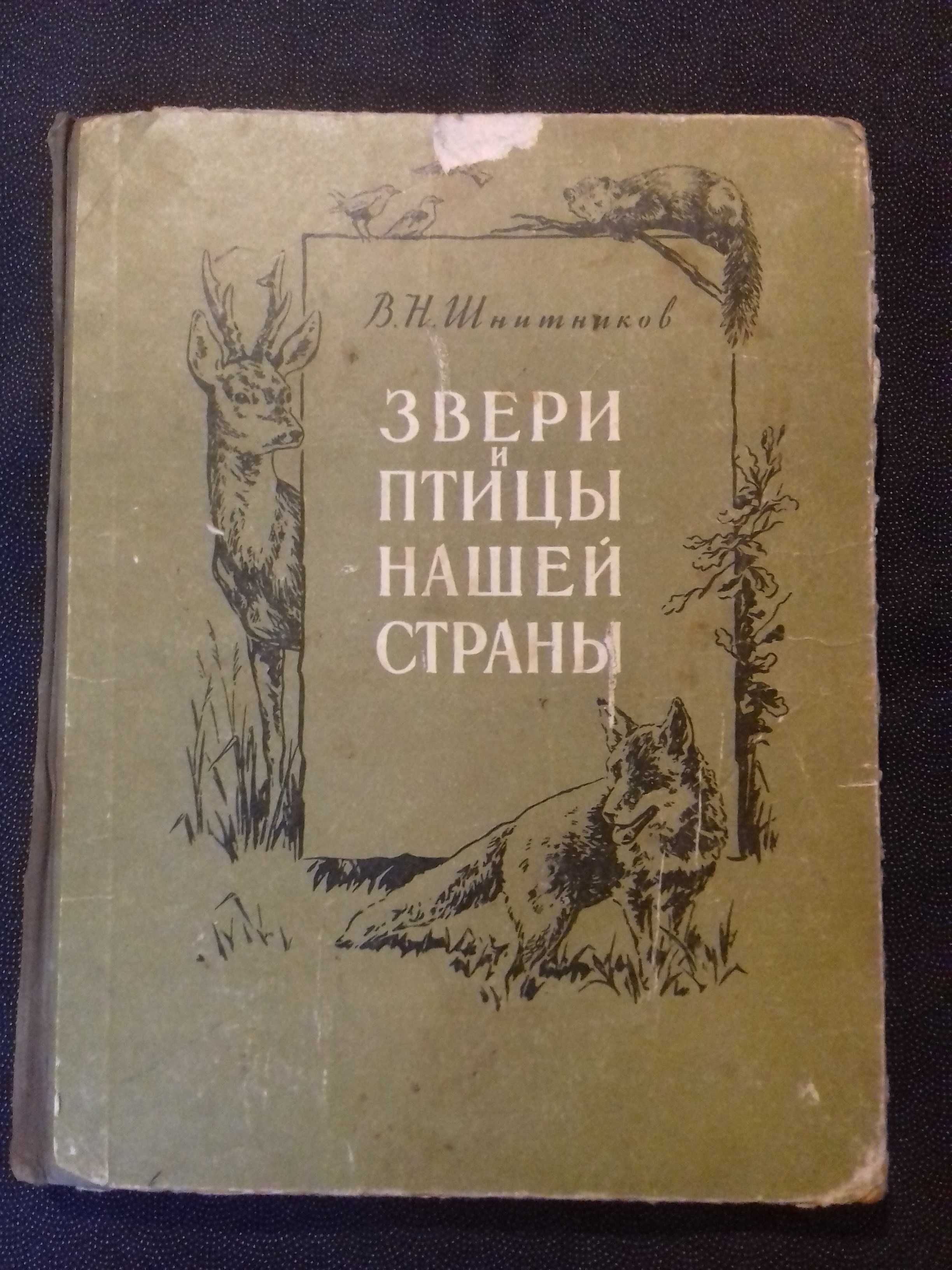 Звери и птицы нашей страны. Книга 1957 года
