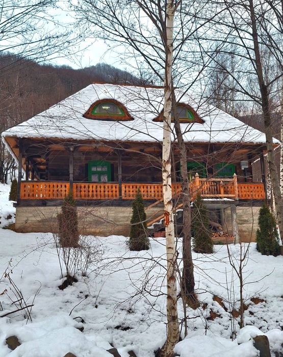 Casa veche traditionala Retezat Disponibila de Craciun si Revelion