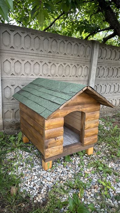 Cotet pentru caine, facut la comanda