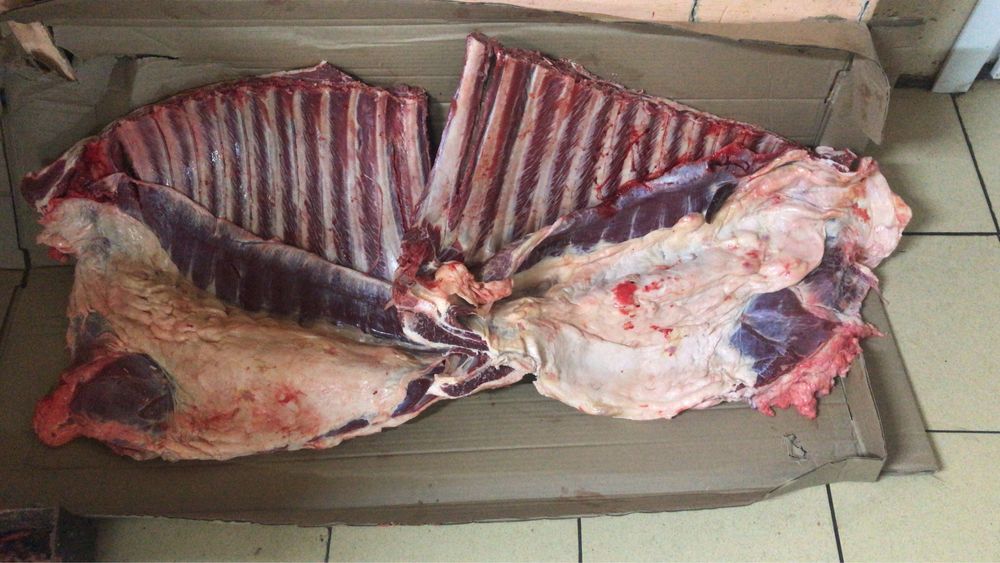 Продам конскую кишку шек на шужық