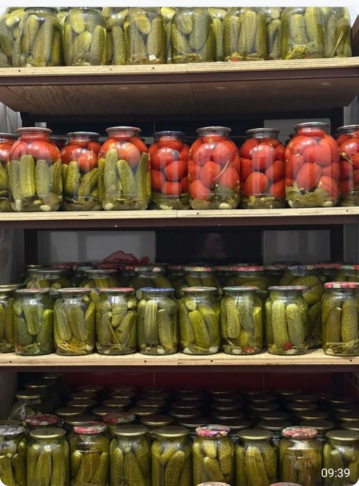 Огурцы и помидоры маринованные