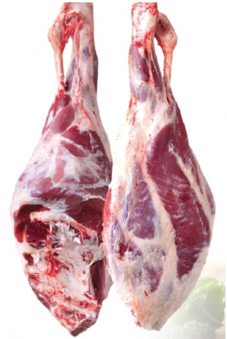 Свободни мъжки телета юници и ялови крави