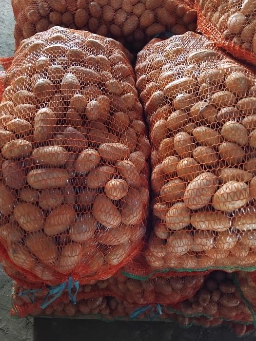 Cartofi pentru animale