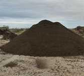 Pamant negru vegetal