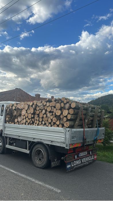 Lemne de foc esenta tare