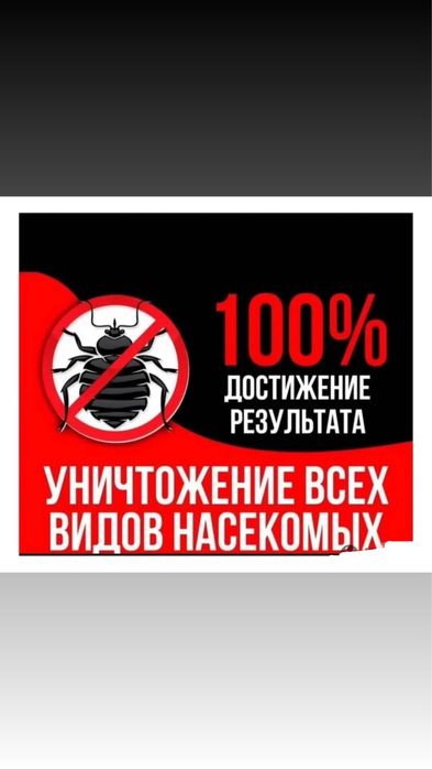 Дезинфекция Дезинсекция Дератизация