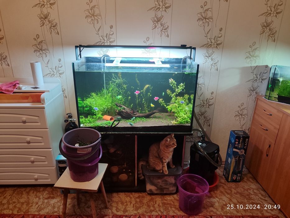 Продам аквариум с тумбой и фильтром