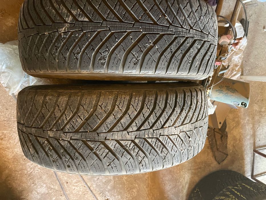 Cauciucuri de iarna 225/55/17