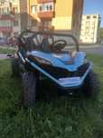 Utv electric 300 W