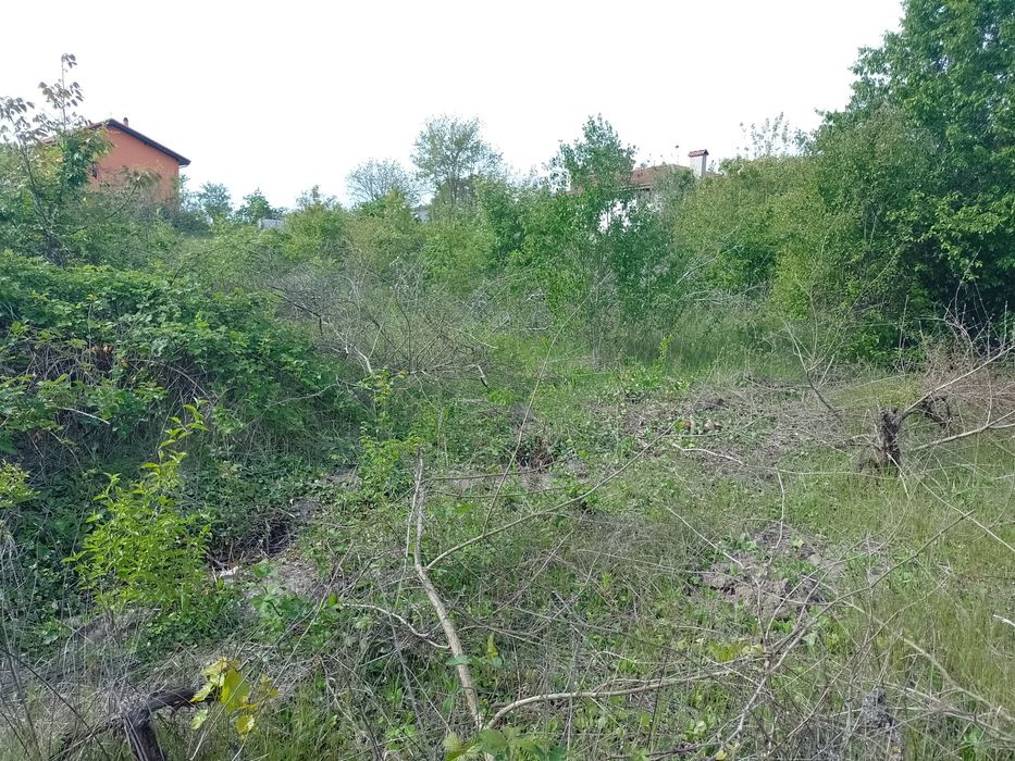 Почистване и ограждане на запустели имоти.