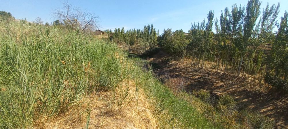 Ер майдони сотилади!