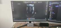 Monitor Lg ultragear