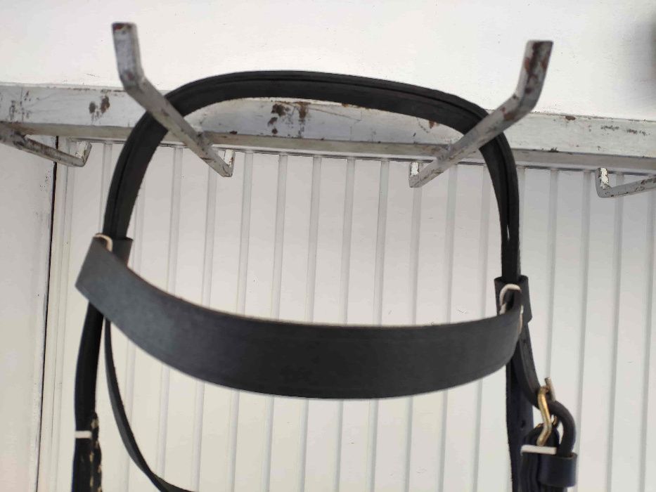 capastru ECVIDEE/BOVINE | art. premium, lucrat din piele ⟣GARANTIE ⁴⁸