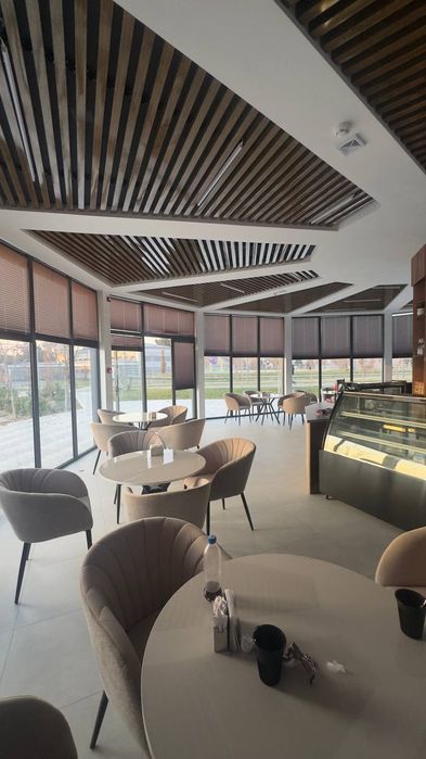 Caffe biznes srochna