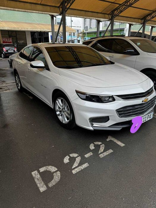 Малибу-2    2,4 ок жемчук 2018й краска тозза