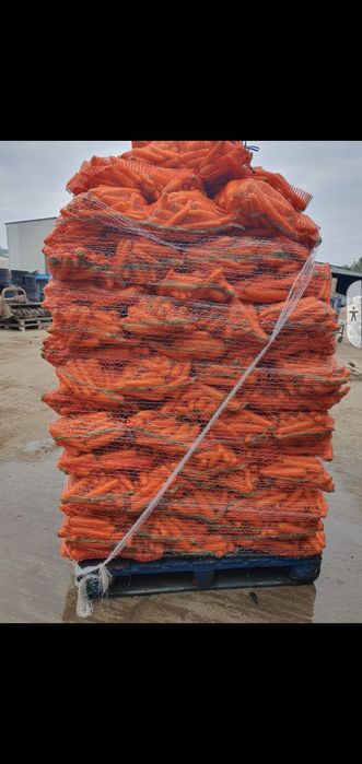 Vand morcovi spalati si nespalati