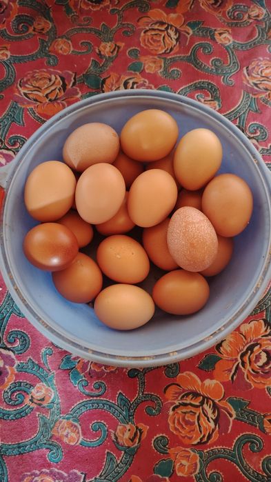 Домашний тауык жумырткасы сатылады