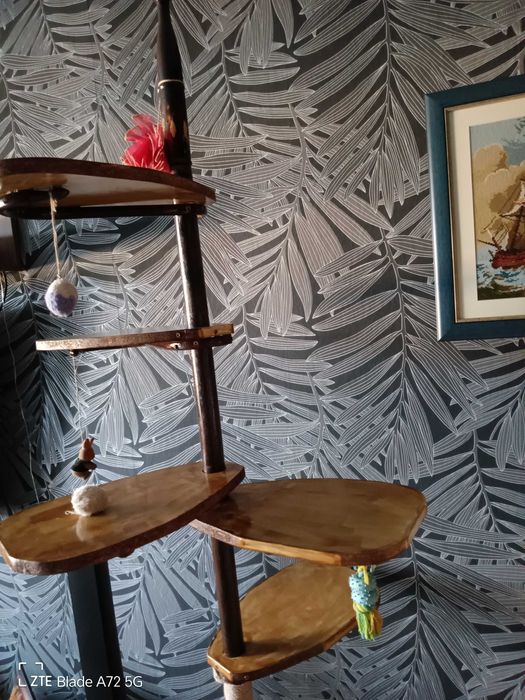 Катерушка за котки