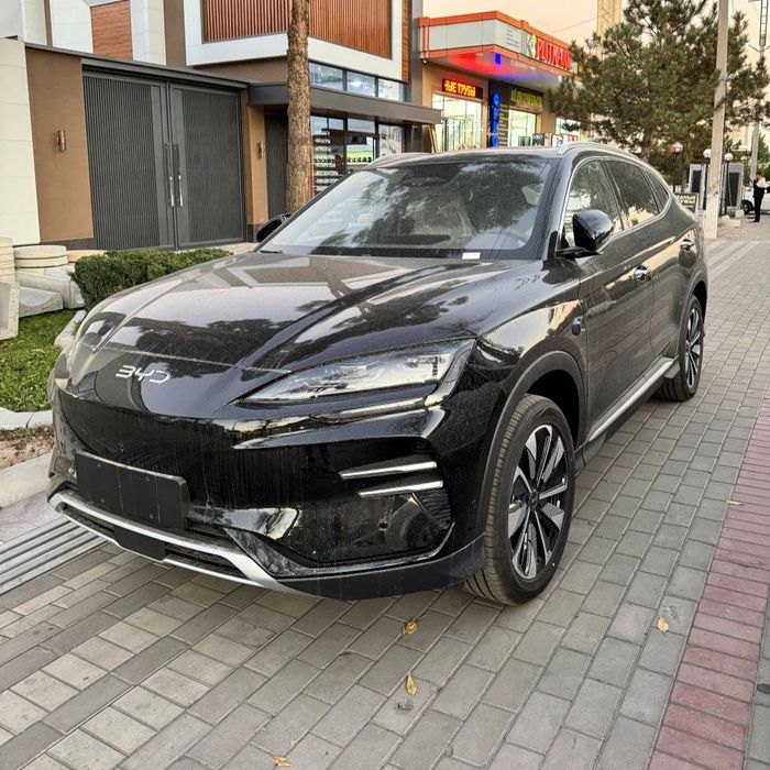 BYD champion 605km 25/25