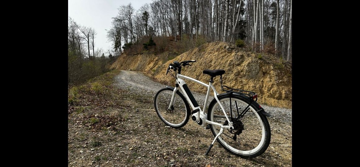 Bicicleta electrica Gazzele cityzen speed