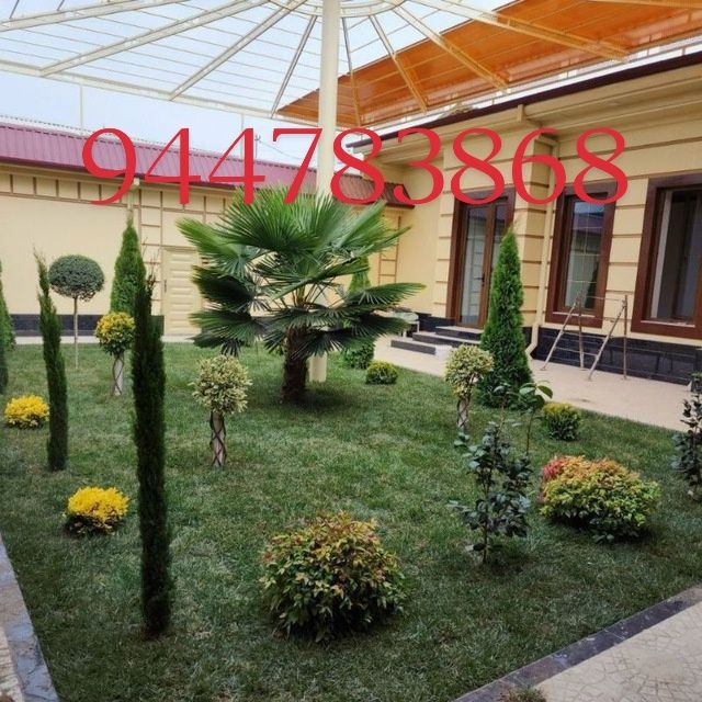 Savdonik Gazon xizmati archa gular ekamiz archa dorilaymiz kelishilga