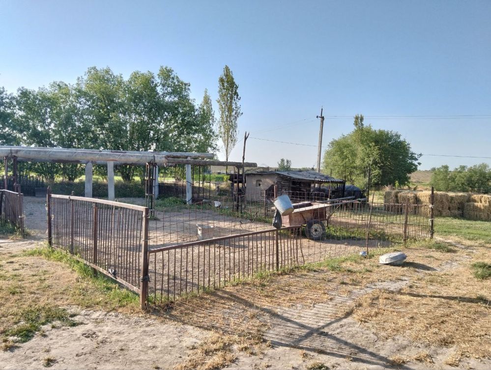 Продается земля  с кадастром