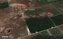 Afumati - Dascalu Teren Agricol  20 Hectare