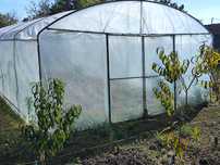 Solar legume 5x10- 50 mp