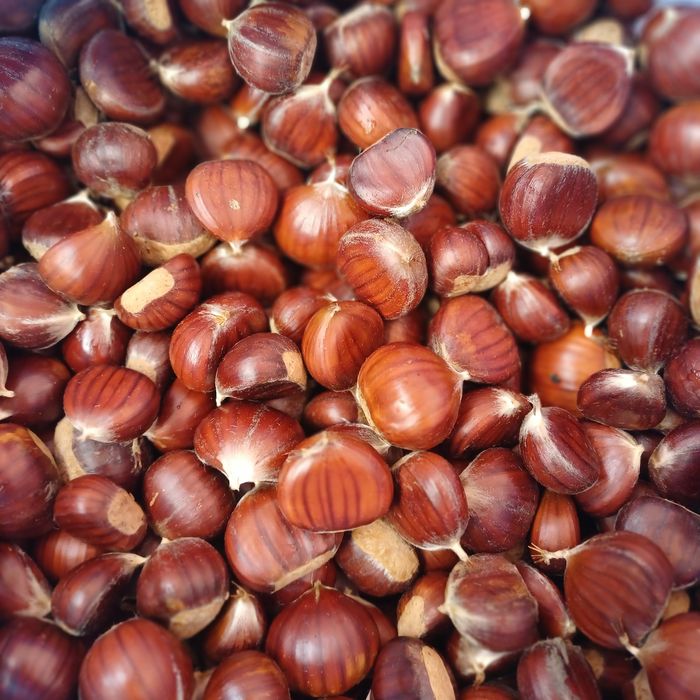 Castane proaspete
