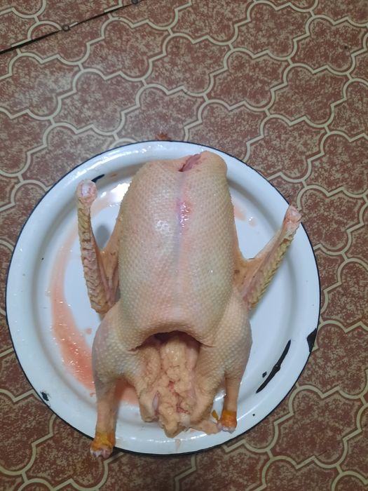 Продам Гусей тушками