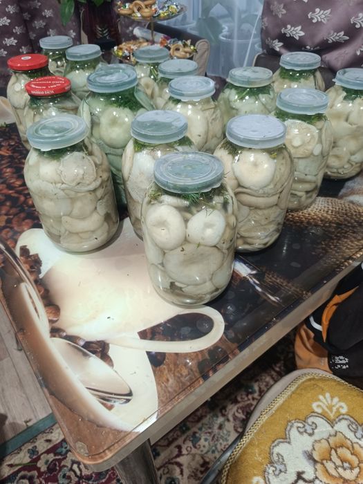 Продам грибы Грузди,есть лисички ,и маслята