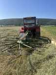 Vand grebla krone