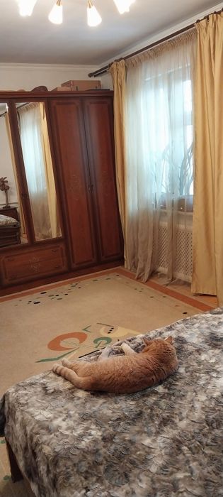 Палас для комнаты большой
