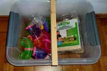 Cutie / Cusca Hamsteri + Accesorii