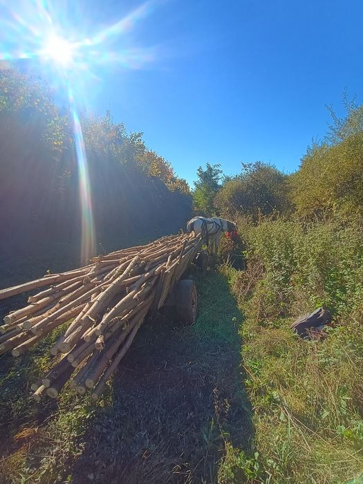 La schimb cu tractor unde e cazul dau diferența