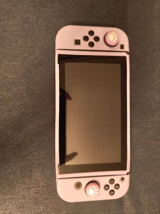 Nintendo Switch 24gb si Card SD 64gb