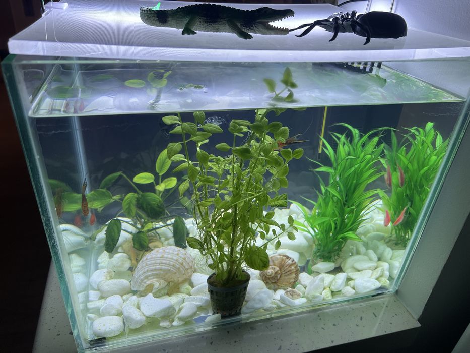 Acvariu  30L/ echipat complet