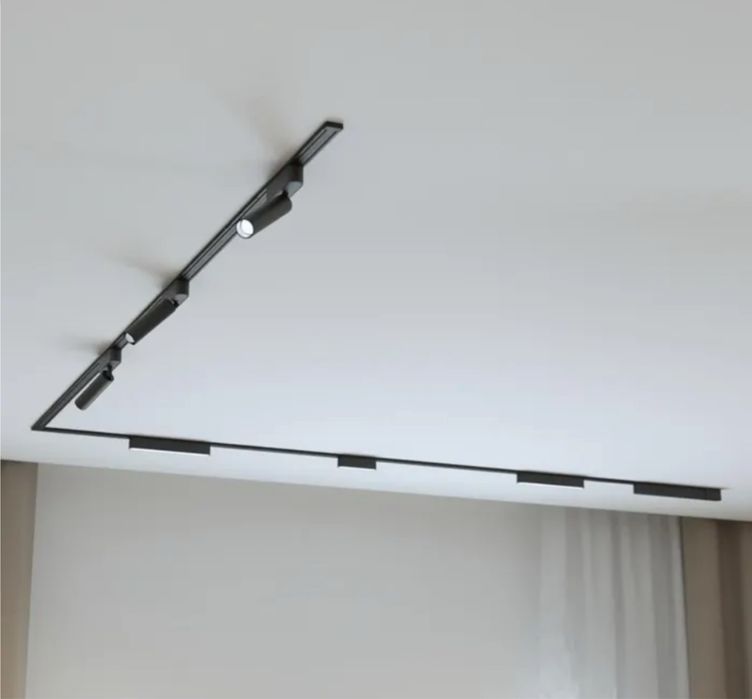 Sina magnetica, proiector