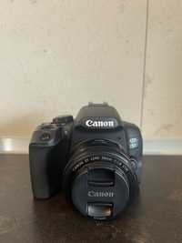 Canon 850D 50mm 1.8