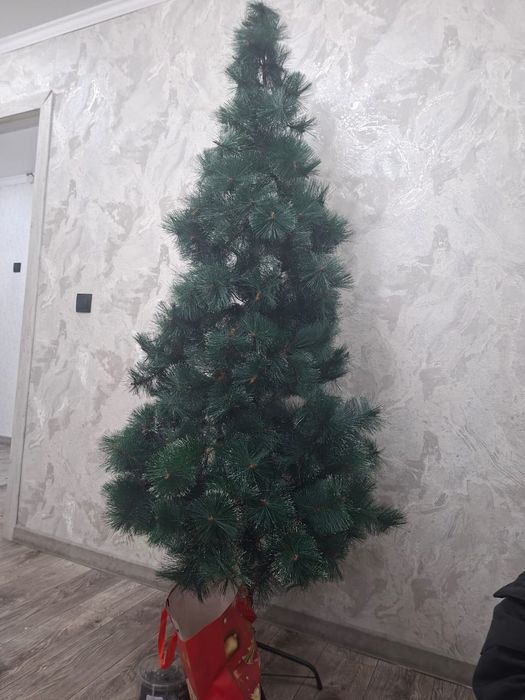 Продам ёлку не дорого