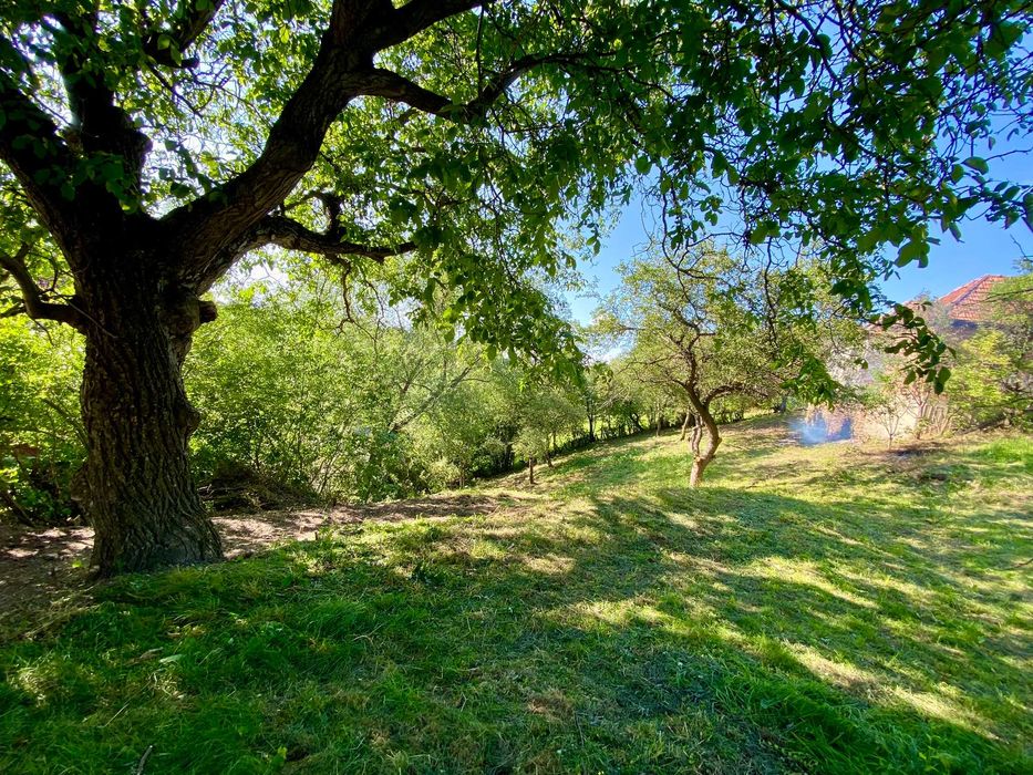 Land with a house in a scenic location.