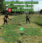 Хамалски Услуги Емо