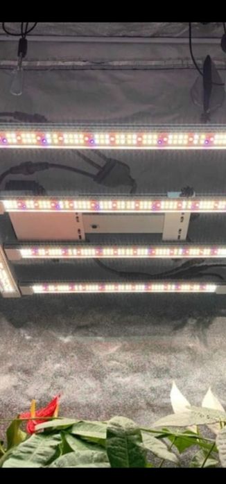 Led grow lamps cu controler si Uv